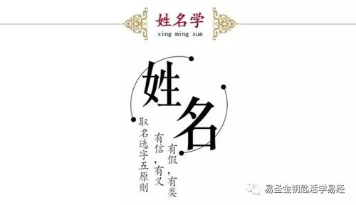 四、 案例解析：别当真实！