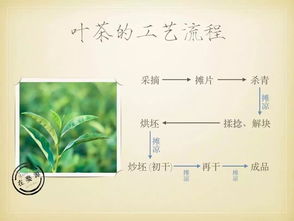 Day1：当高铁遇上水逆