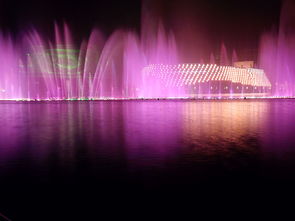 喷泉音乐会要你命！