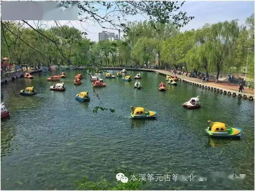 A. 早餐：西湖边的传统早点摊 + 小笼包挑战赛