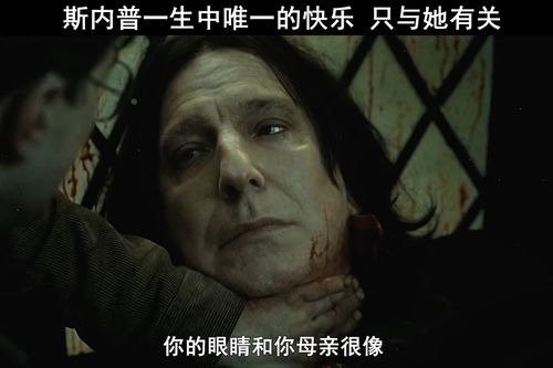 祖传风水：八卦炉心衰