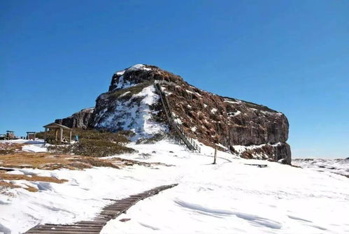 啊啊啊！那个该死的雪山差点要了老子的命！