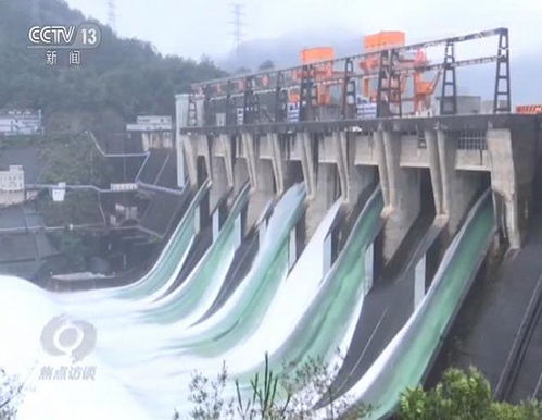 XX水库：水确实挺多的