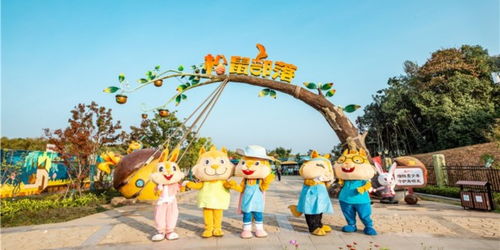 南京松鼠部落：离家近是王道