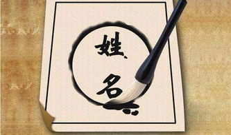 案例解析：成功与意外