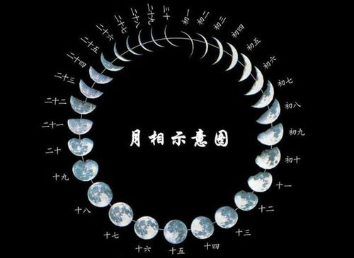 农历生日和阴历生日有什么区别？