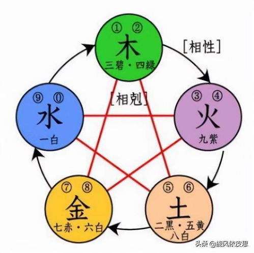 断字是什么生肖，难道不是那个与金水木火土相生相克的神秘生肖吗？