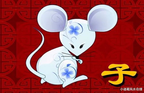 2023年属鼠每月运势如何？十二生肖每月运势详解？