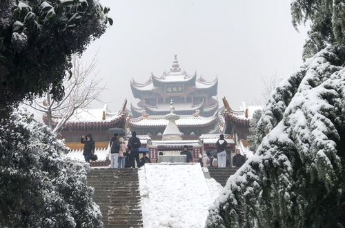 红叶与雪景：视觉的欺骗