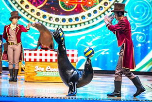 谁在为夜场买单？从“年轻人狂欢”到“全龄段破圈”