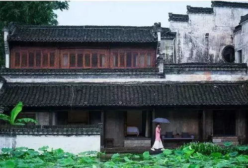 呈坎古镇， 中国风水第一村（乱入段落）