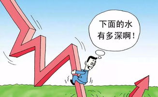 劝好运弟弟别再炒股了！难道你不知道股市风险大吗？