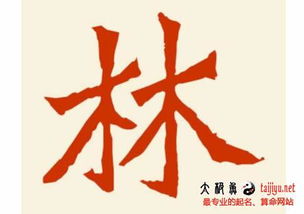 林姓男孩名字推荐