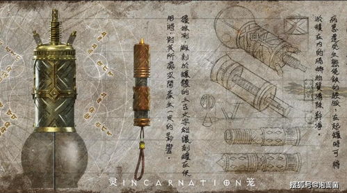 女命重五两五是否意味着特别命苦，命运有何特殊预示？