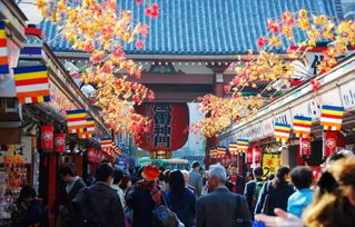 交通玄学大揭秘：新干线会吃掉你的运气