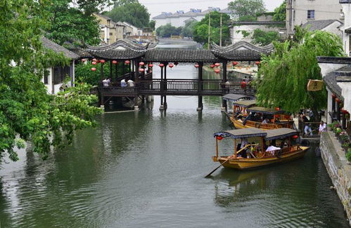 第三站：三宝展览——文化遗产还是旅游摆设？