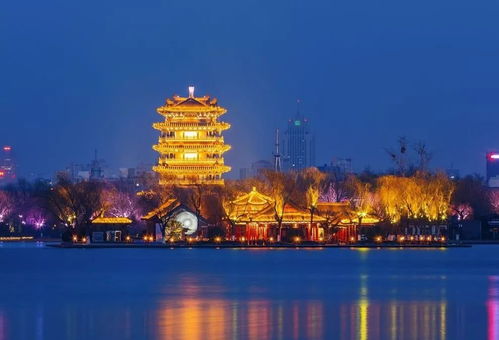 烟台→济南：2026年最新骚操作！混进菜农车队全程狂吐