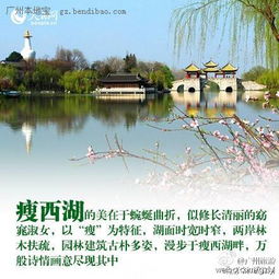 序言：春风拂柳， 心动之旅