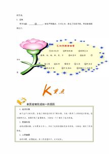 历史持续发展背景