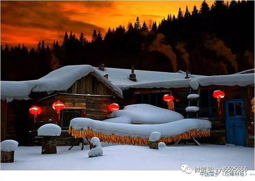 從哈爾濱到雪原のN種死法—建議選「隨緣」