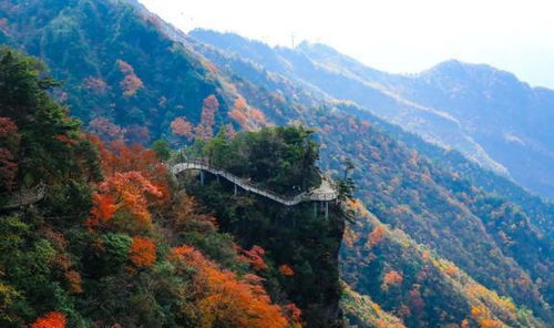 四季皆有景， 美不胜收