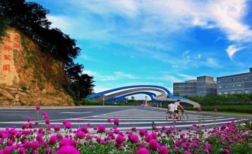 五一狂欢前奏：你觉对想不到的南岗山公园特惠秘密！