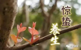 五、 养生指南：肝胆要跟上春雷节拍