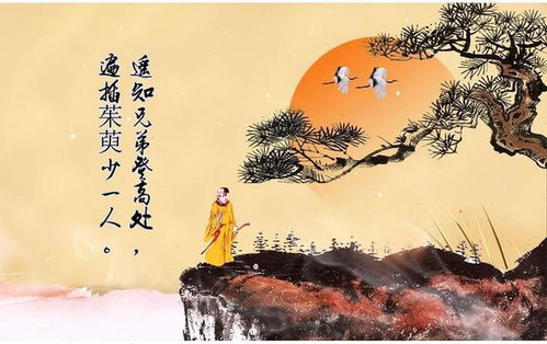 一、 从古诗词中汲取灵感，让名字更有韵味