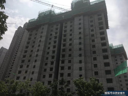 七月十五的鬼影幢幢…是真的吗？