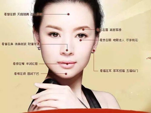 1、 眉毛：古话说“眉毛较长垂,较高寿无疑”,眉毛在面相上被称为保寿宫，如果你的眉毛...