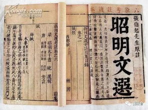 文化底蕴经典版：诗词歌赋来助阵