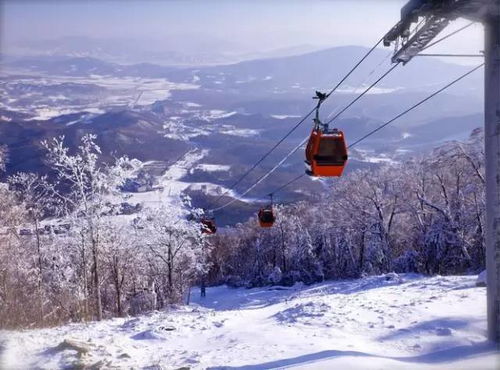 第一日：抵达亚布力， 体验滑雪的无穷乐趣