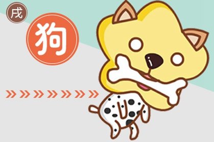 1970年属狗85岁老人2021年运势和运程如何？