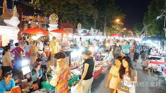 第五日：夜市狂欢， 品尝美食（以及胃部危机）