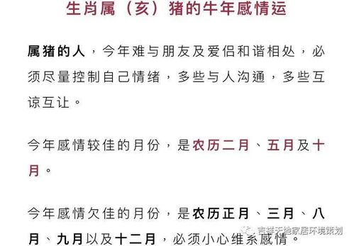 宋韶光2026年属相每月运程完整版具体内容是什么？