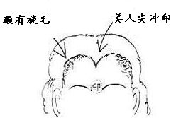 1. 额头较宽度与财富有指数