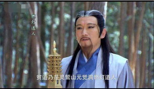 燃灯老头的奇葩宠物大盘点