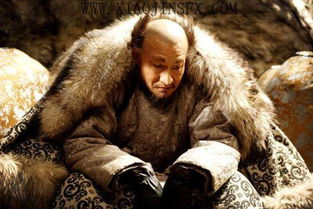 三、惊恐万分的心理剧场——法布尔 vs 蜘蛛网