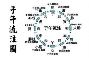 2026年甲木健康预警
