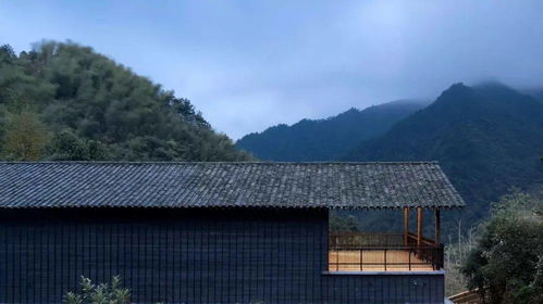 第三站：云夕戴家山——畲族文化底蕴与CNN书店相遇之地