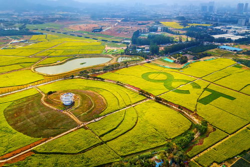 乐昌沙坪镇风水布局,乐昌沙坪镇风水布局