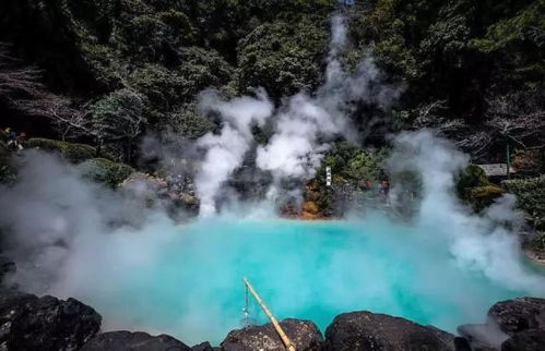 冬日里的诱惑：箱根温泉之旅