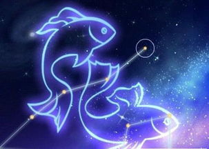 星座喜良好度测评表（越更多★越适合）: