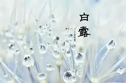那些无聊透顶的白露习俗