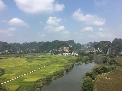 第一站：迷雾森林探险——感受崭新欣嘉园的原始魅力