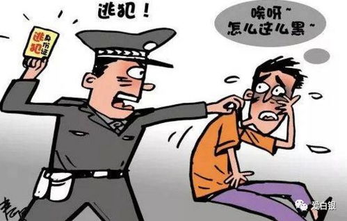 社恐晚期怎么破？在线等挺急的！