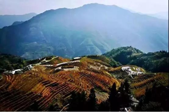 三、旅游者眼中的“价值”与“痛点”