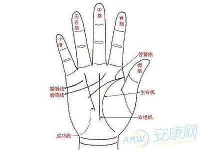 手相算命看感情准确可信吗？算命看手相能信吗？