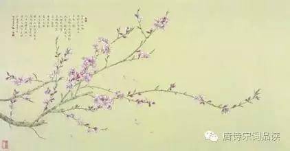 2. 清雅较高尚类