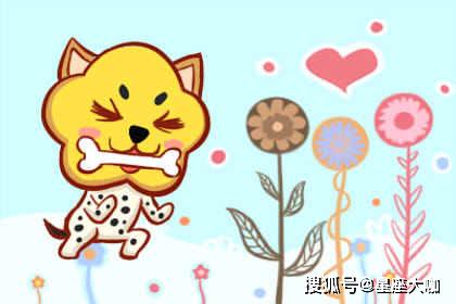 星座+生肖=超级无敌准的算命公式